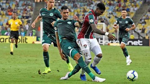 goias fluminense