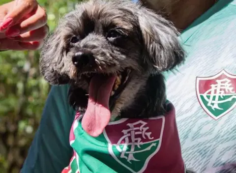 Pretinha, Fluminense, cadela