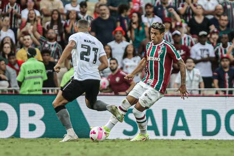 Matheus Martins, Botafogo