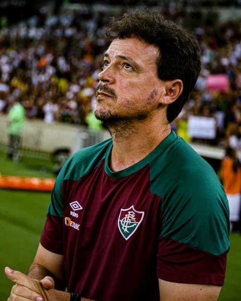 Ex-Flamengo pede para Diniz se decidir entre Seleção ou Fluminense